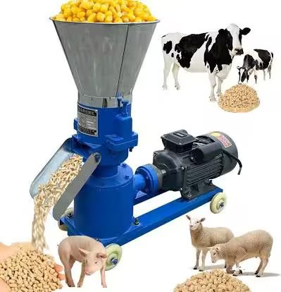 Animal Feed Production Line